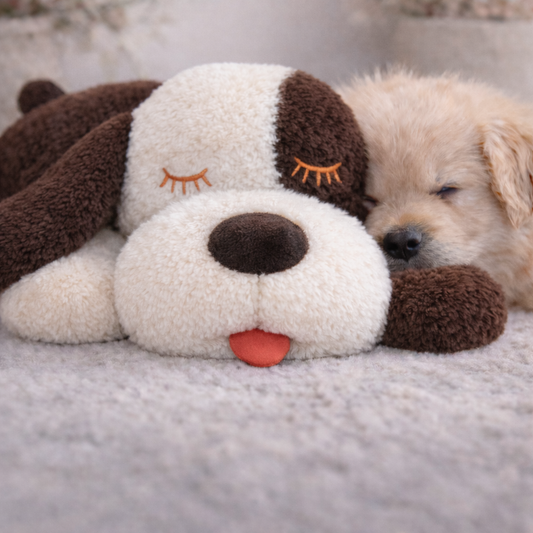 PetSerenity™- Cucciolo Calmante