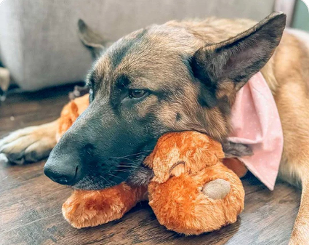 PetSerenity™- Cucciolo Calmante